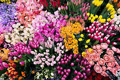 两位开发者用《梦境》做出了一款开放世界驾驶游戏